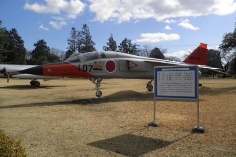 2017T-2_6.jpg