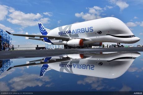 BelugaXL-roll-out.jpg